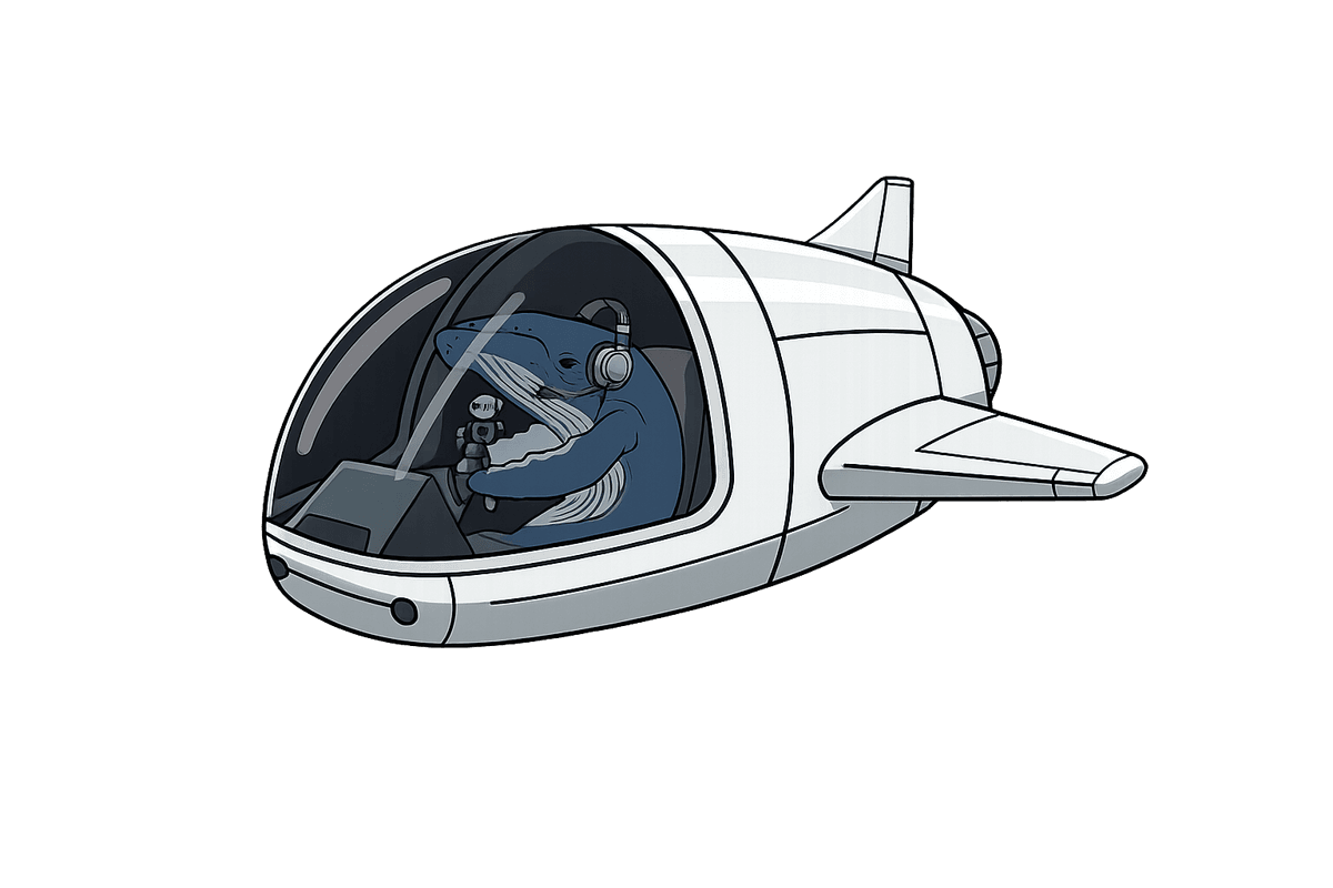 DeepWhale Spaceship